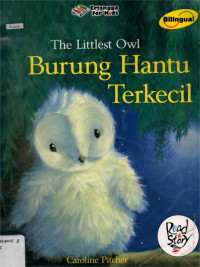 Image of BURUNG HANTU TERKECIL